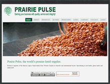 Tablet Screenshot of prairiepulse.com
